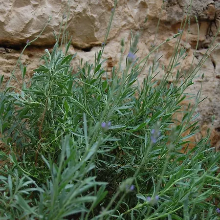 La Dimora Sicula * 莫迪卡