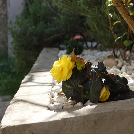 La Dimora Sicula *